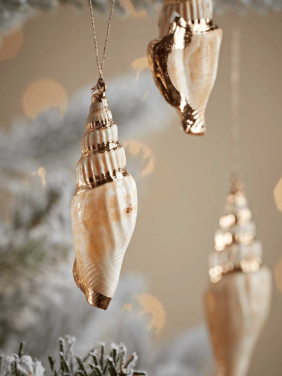 NEW Three Gilded Shells - Slim