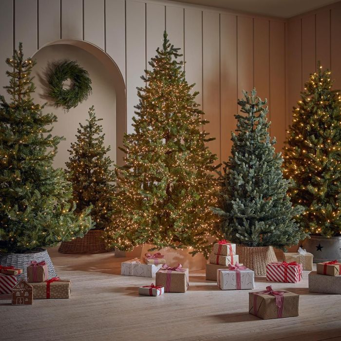 A guide to buying the Christmas tree