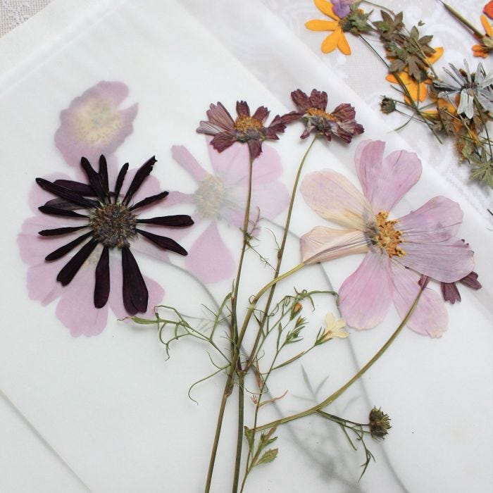 How to press and dry flowers in 5 simple steps...