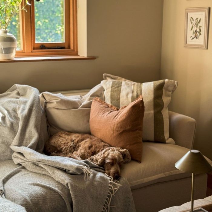 How to choose the best family sofa