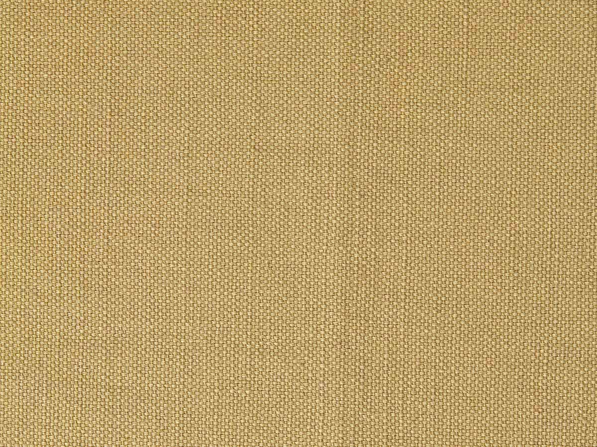 Swatch Image