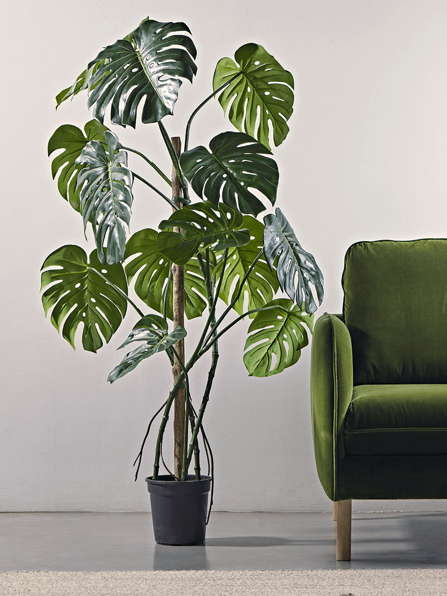 Photo of Tall faux potted monstera