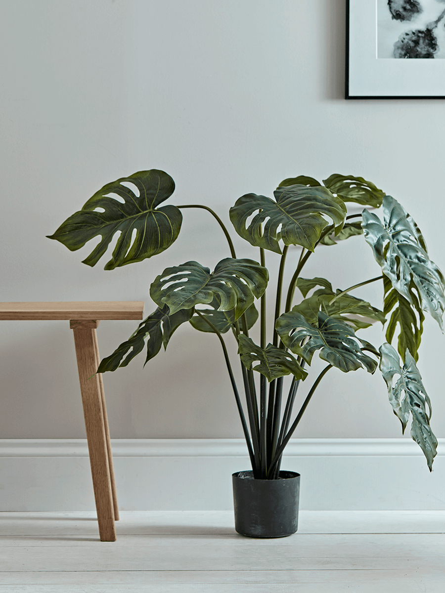 Photo of Faux potted monstera