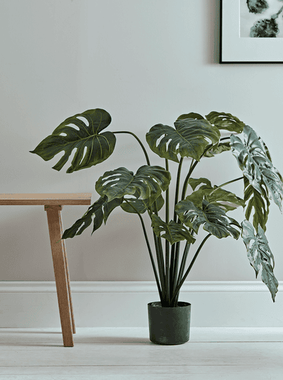 Faux Potted Monstera