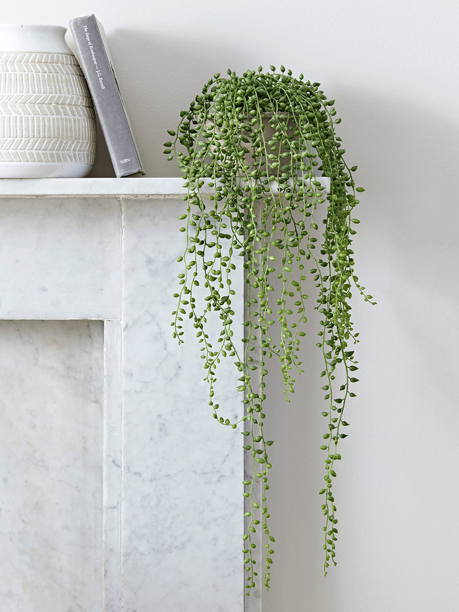 

Faux Potted String of Pearls