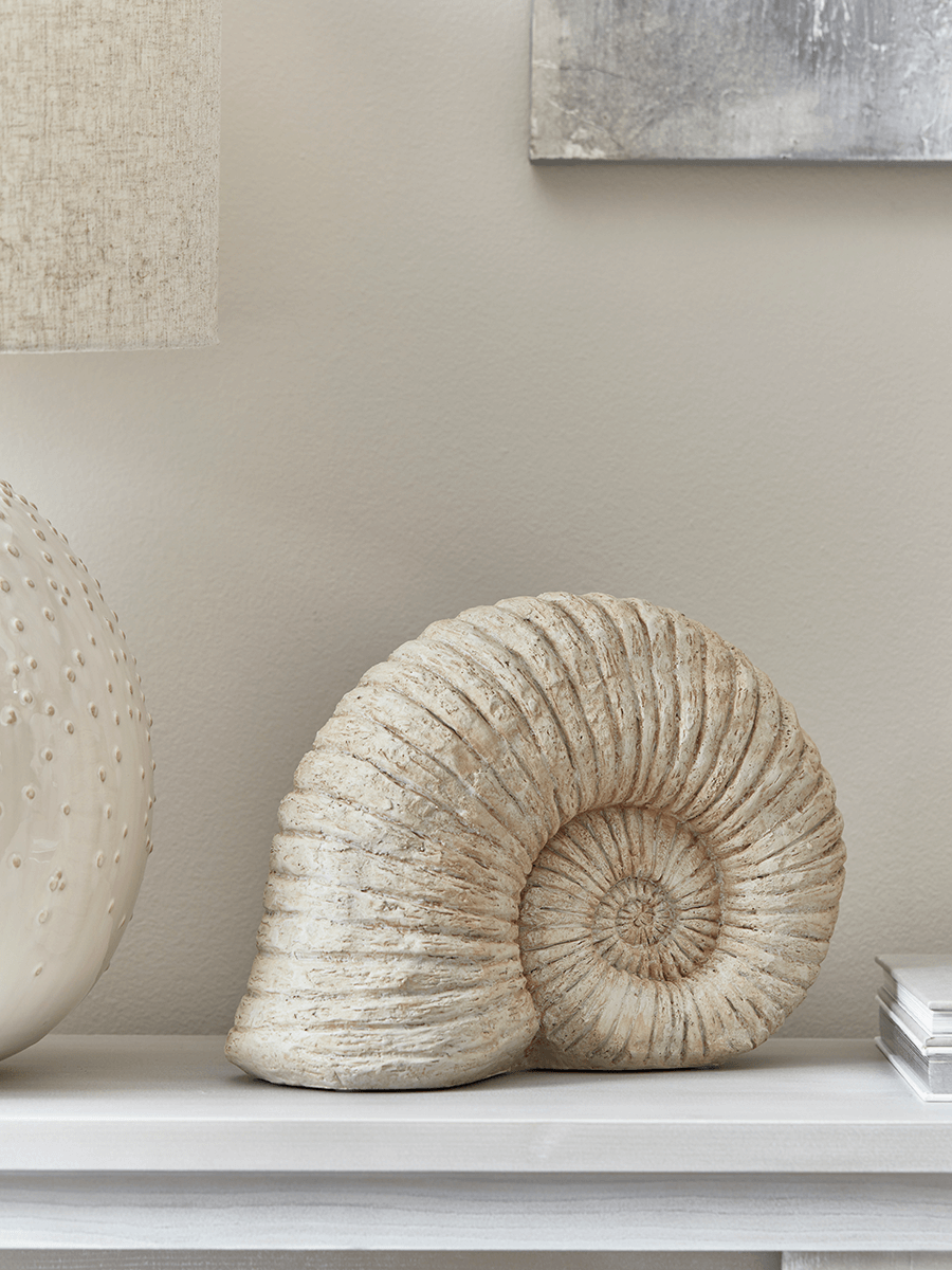 Product photograph of Faux Ammonite from Cox and Cox