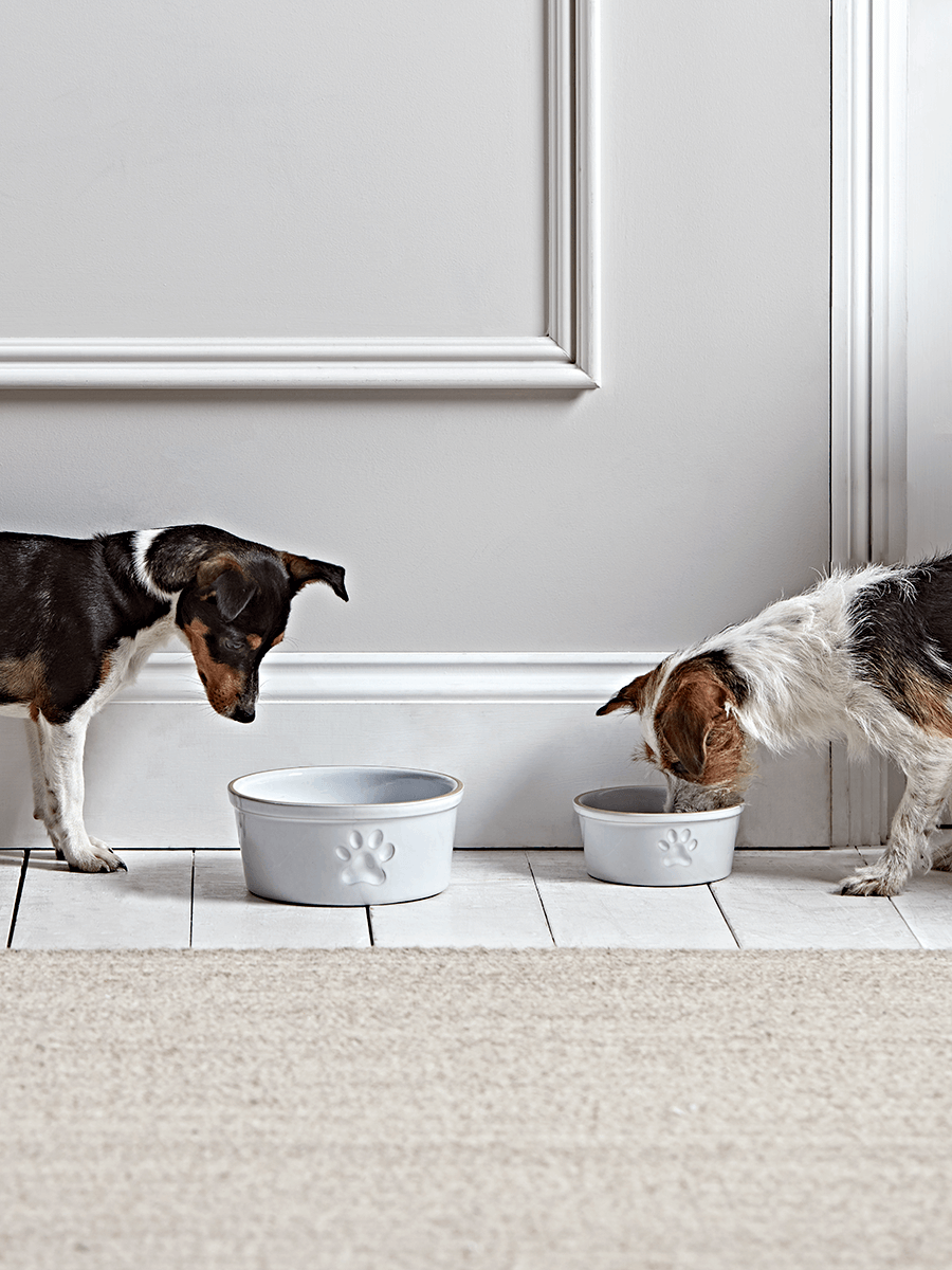 

Paw Print Pet Bowl - Small