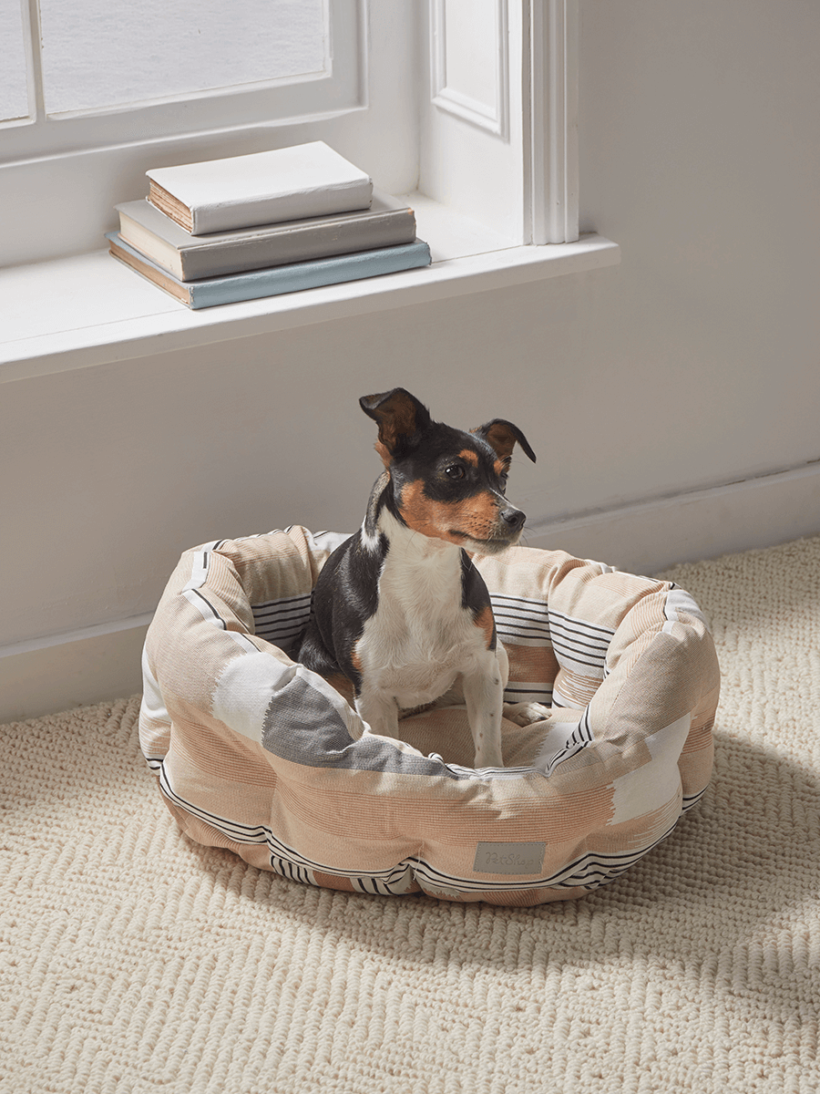 

Geometric Pet Bed