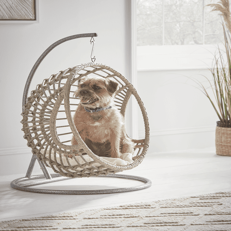 Indoor Outdoor Hanging Pet Chair Grey