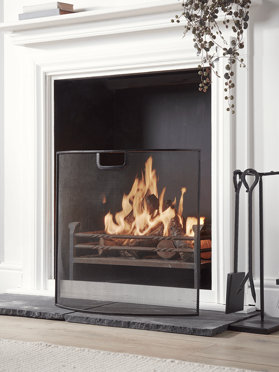 Product photograph of Iron Fire Screen from Cox and Cox