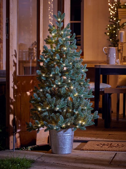 Indoor Outdoor Fabulously Full Fir Tree - Potted