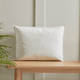 Feather cushion inserts shop 45 x 45