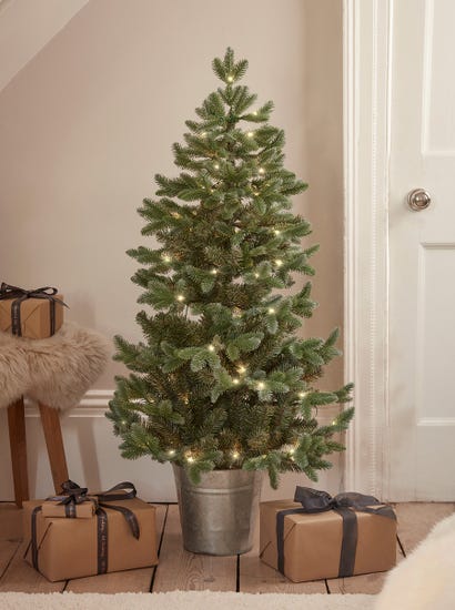 Indoor Outdoor Fabulously Full Fir Tree - Potted