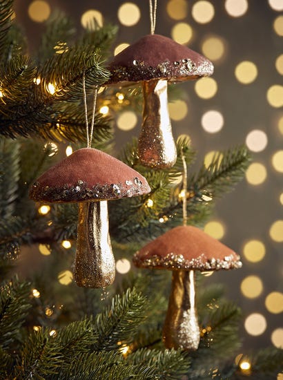 Three Large Magical Mushrooms