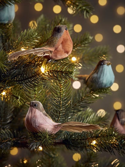 Three Feathered Bird Clips
