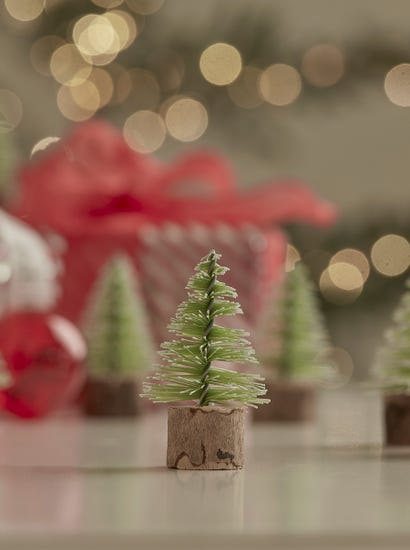 Twelve Mini Brush Trees