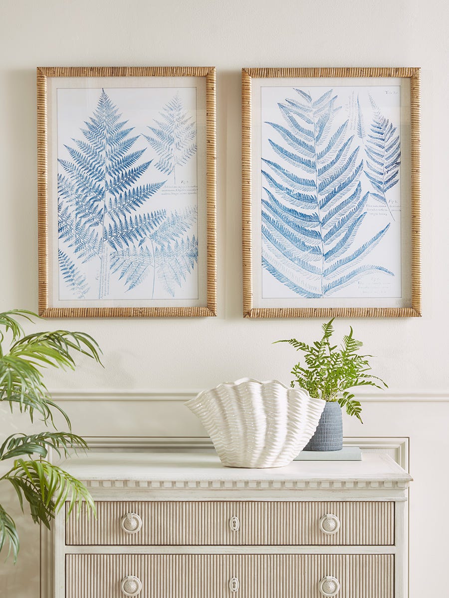 Product photograph of Two Blue Fern Framed Prints from Cox and Cox