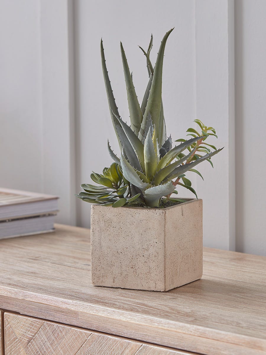 Photo of Faux potted plants