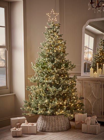 Young Pine Pre-Lit Christmas Tree