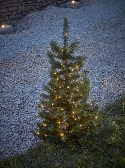 Light Up Pottable Pine Tree - Large