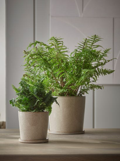 Speckled Glazed Planter & Saucer