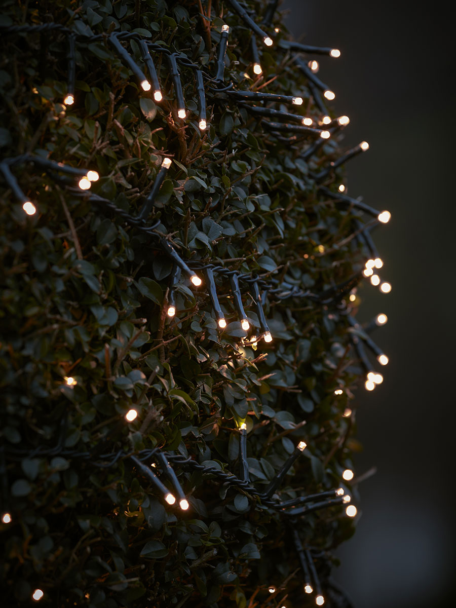 Product photograph of Indoor Outdoor Twinkle Lights - Large from Cox and Cox.