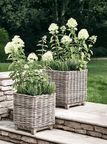 Two Square Rattan Planters