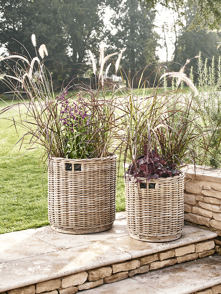 Product photograph of Two Round Rattan Planters from Cox and Cox.