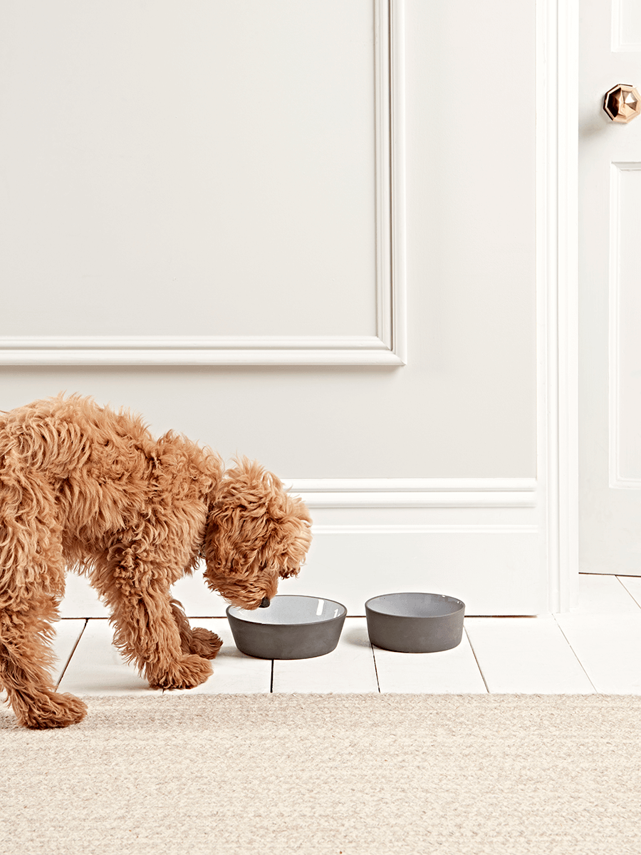 

Charcoal Pet Bowl - Large