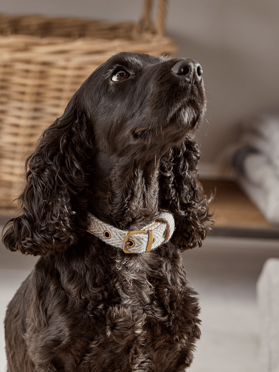 Grey Herringbone Dog Collar - Large
