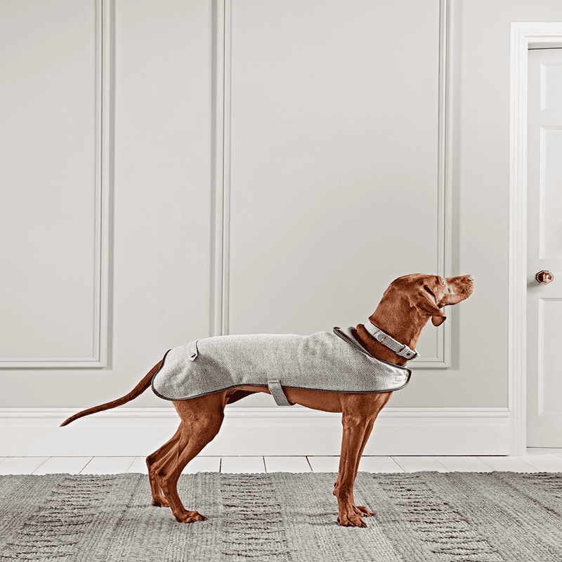 Herringbone dog coat hot sale