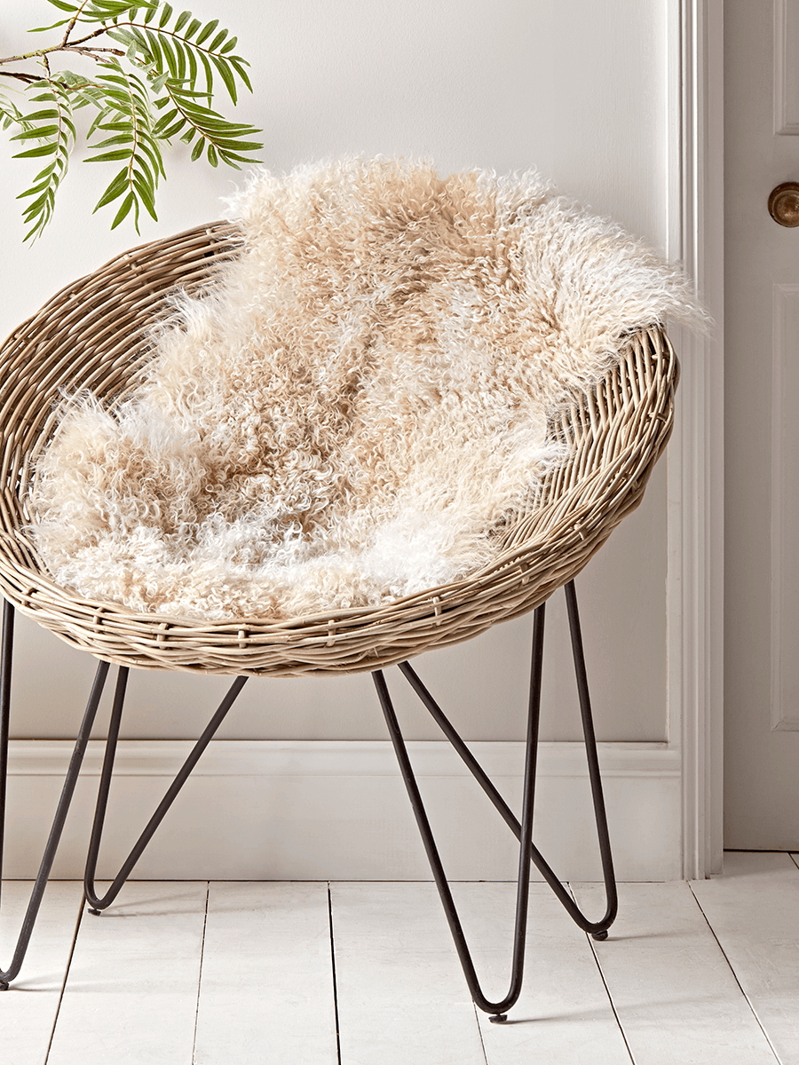 Photo of Tibetan sheepskin - arctic sunrise