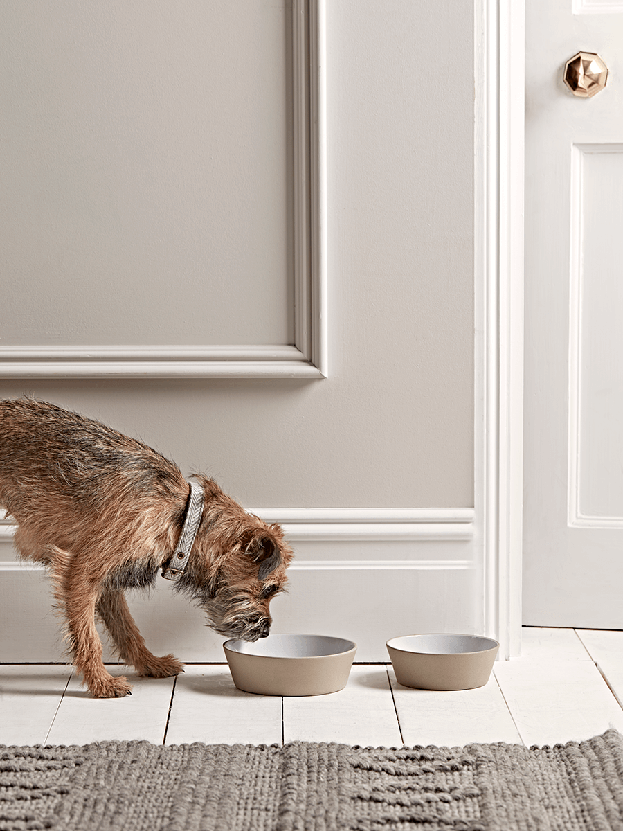 

Taupe Pet Bowl - Large