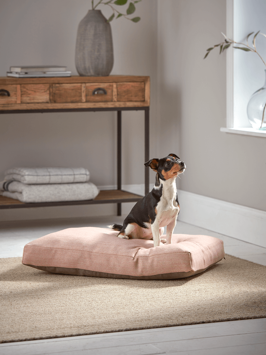 

Herringbone Wool Dog Bed - Blush