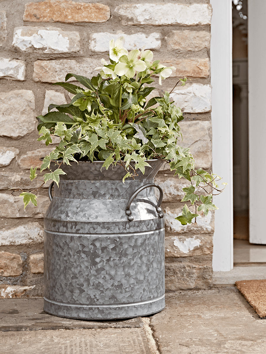 

Aged Zinc Milk Churn