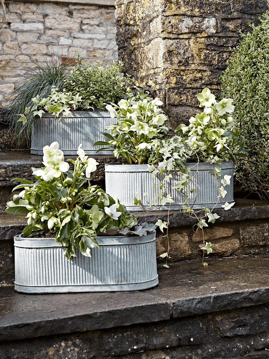 

Three Oval Trough Planters