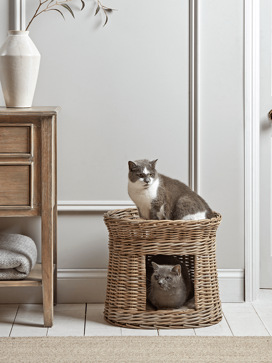 Product photograph of Round Rattan Pet Bunk Bed from Cox and Cox