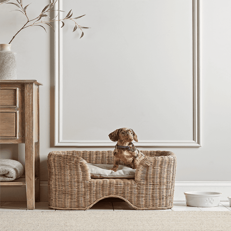 Wicker pet bed hotsell
