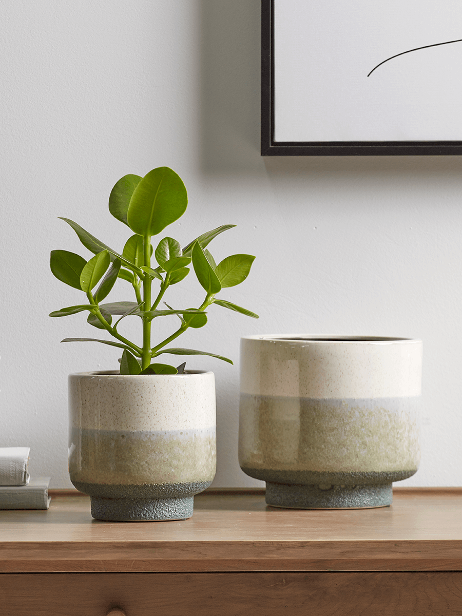 

Two Dipped Planters - Natural & Green