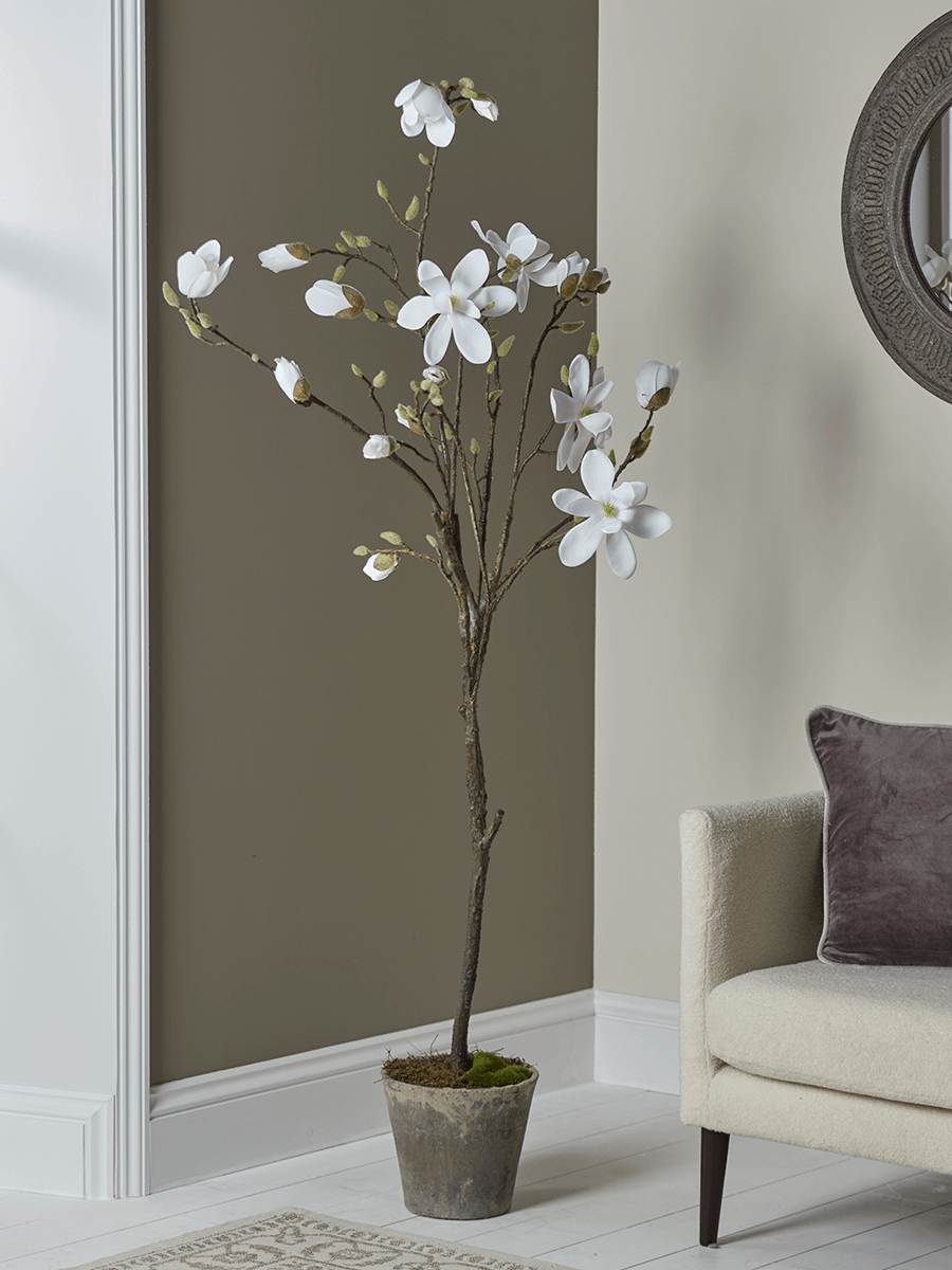 Photo of Faux potted magnolia tree