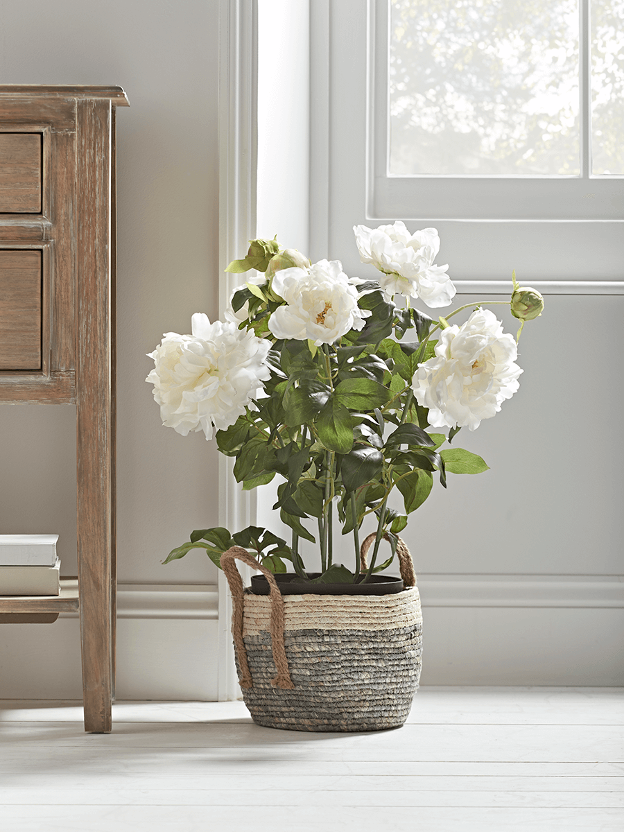 Faux Potted Peony - White