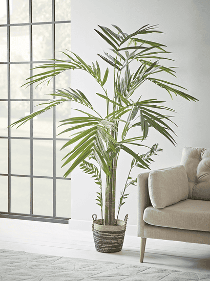 Faux Potted Paradise Palm