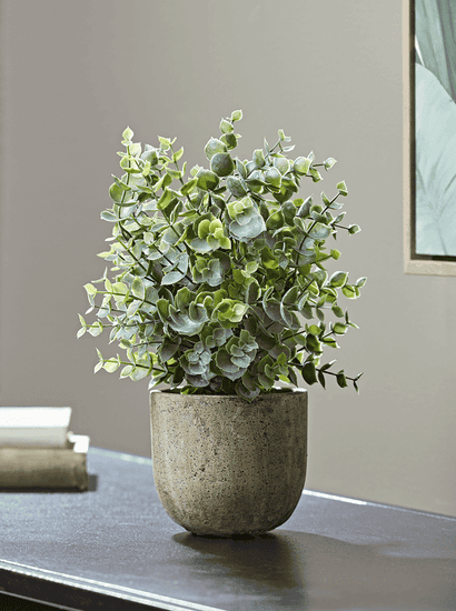 Faux Potted Eucalyptus