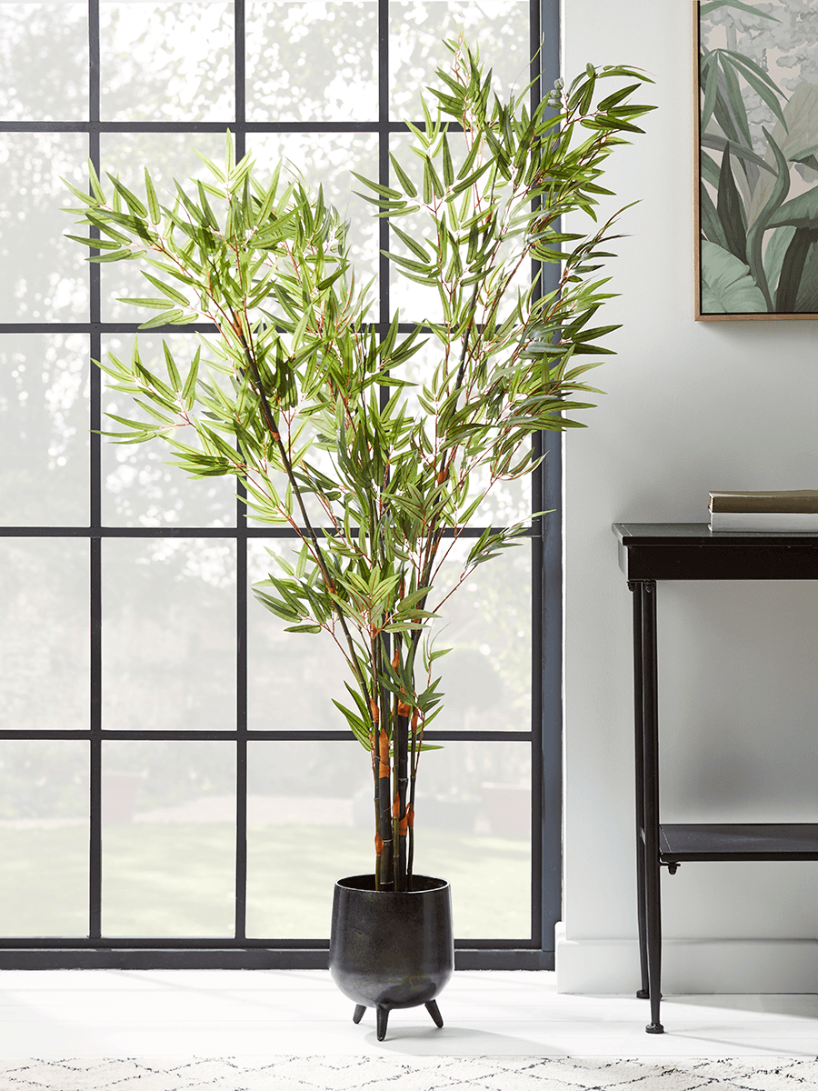 Photo of Faux potted bamboo