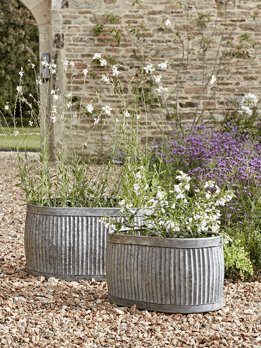 

Two Zinc Planters - Oval