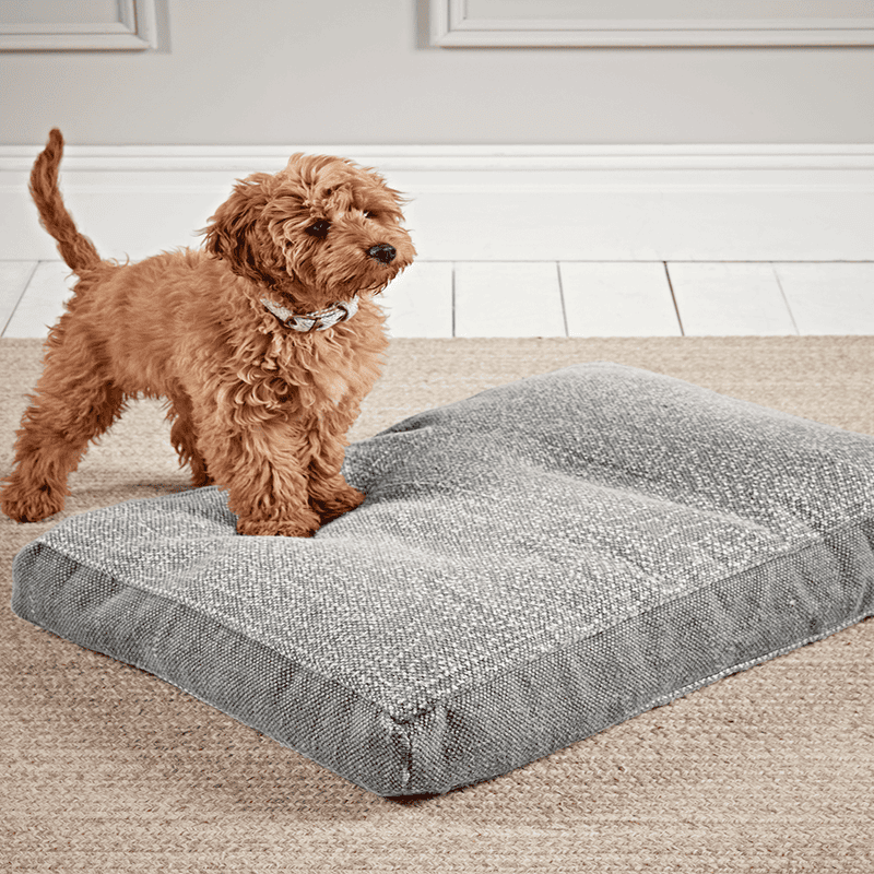 Grey soft dog bed shop