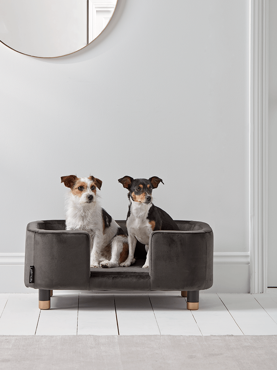 

Deco Pet Sofa - Grey