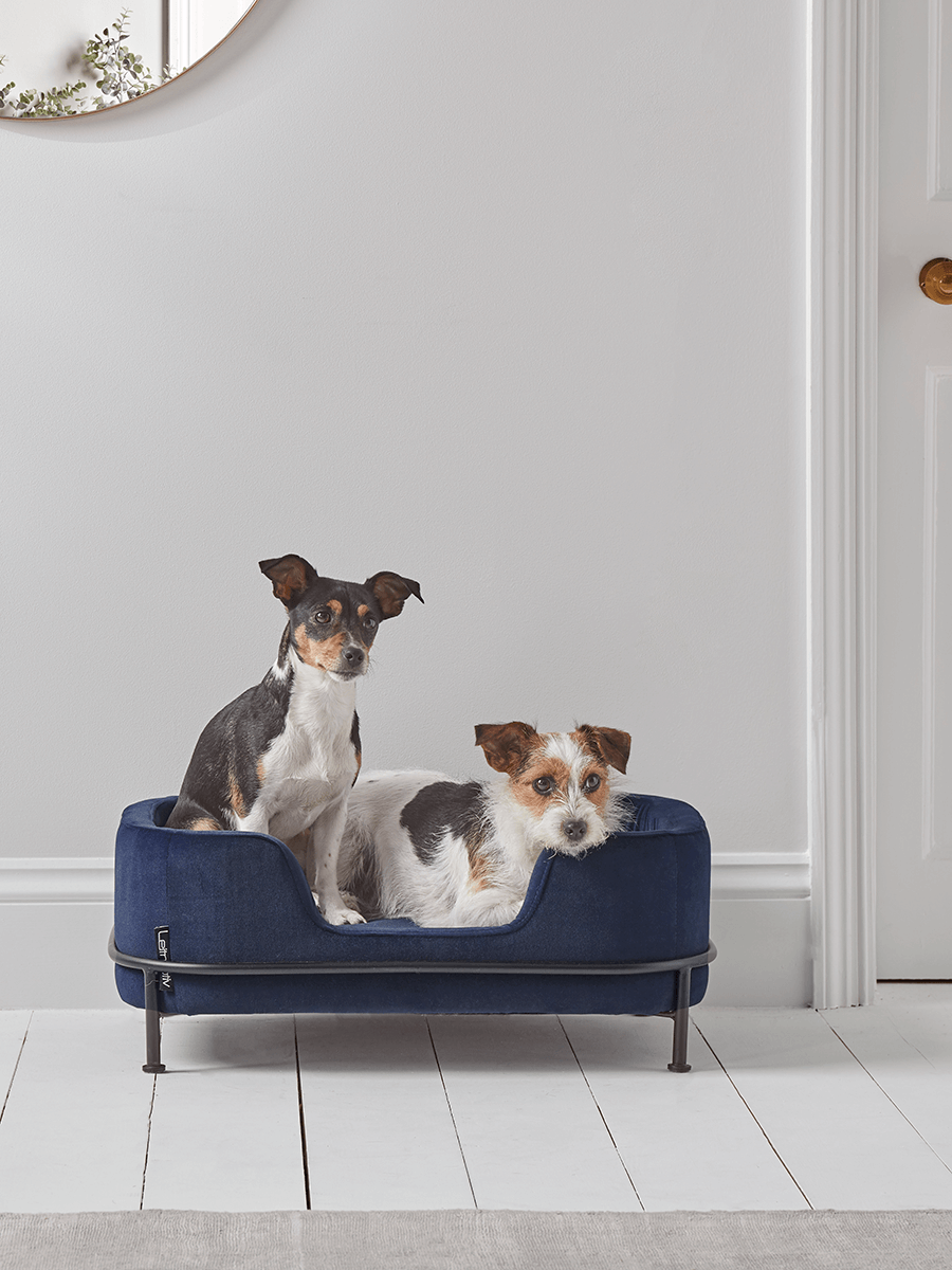 Industrial Style Pet Bed - Navy