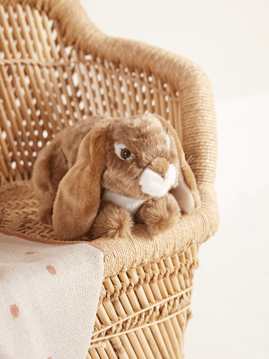 

Floppy Eared Rabbit Plush Toy - Brown
