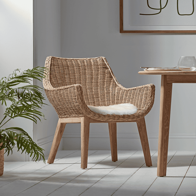 Cox and cox wicker chair sales